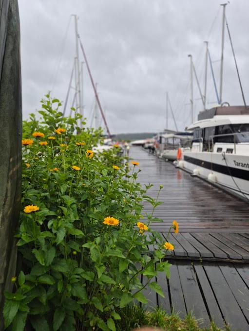 Pensjonat Rybaczowka - Noclegi, Restauracja, Port Bogaczewo  Eksteriør bilde